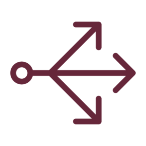 Scale Icon
